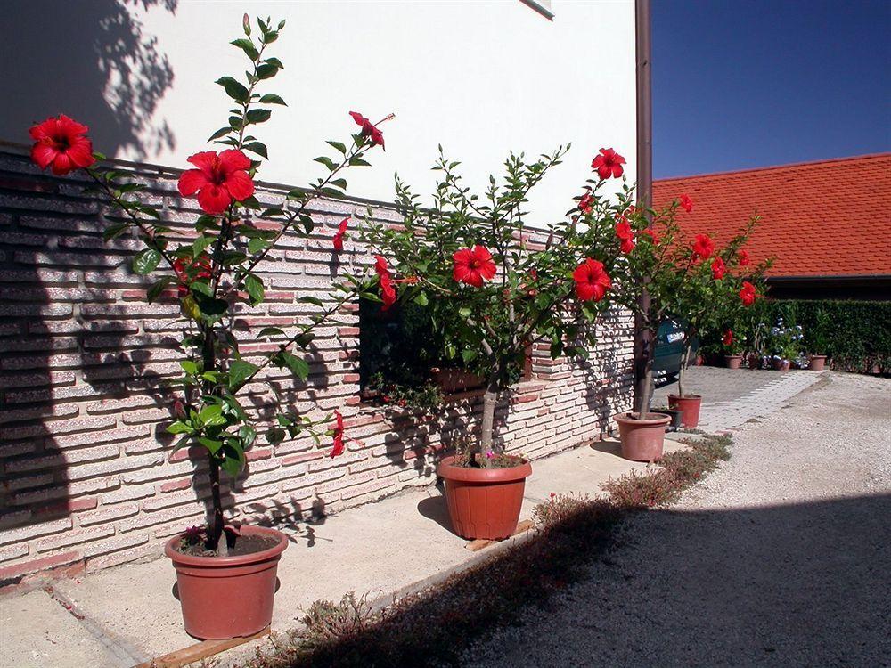 Heviz Therme Apartmenthaus Exterior photo